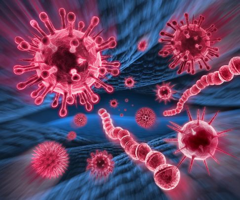 Gelenkentzündungen müssen nicht immer rheumatisch bedingt sein. Manchmal steckt auch eine Infektion mit Viren oder Bakterien hinter einem schmerzhaft geschwollenen Gelenk. ©peterschreiber.media, stock.adobe.com Bakterien und Viren