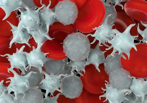 Neben Erythrozyten (rote Blutkörperchen) und Thrombozyten (Blutplättchen) gehören die Leukozyten (weiße Blutkörperchen) zu den Hauptbestandteilen des Blutes. © royaltystockphoto, stock.adobe.com Blutbestandteile: Erythrozyten, Thrombozyten und Leukozyten