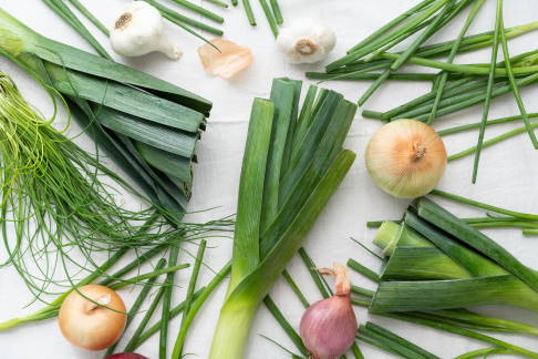 Lauch, Knoblauch und Zwiebeln schützen Gelenkknorpel und verlangsamen Arthrose. © nagee, Adobe Stock Lauchgemüse, Knoblauch und Zwiebeln