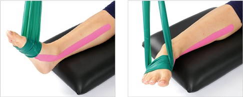 Die Innenseite des Unterschenkels (pinke Markierung) ist bei der Durchführung angespannt. Dies können Sie tasten. © Gelenk-Klinik Übung zur Kräftigung des Musculus tibialis posterior