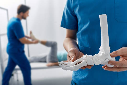 Bei der subtalaren Arthrodese werden zwei Fußknochen miteinander verbunden und versteift. © Peakstock, Adobe Arzt mit Modell eines Fußskeletts in der Hand
