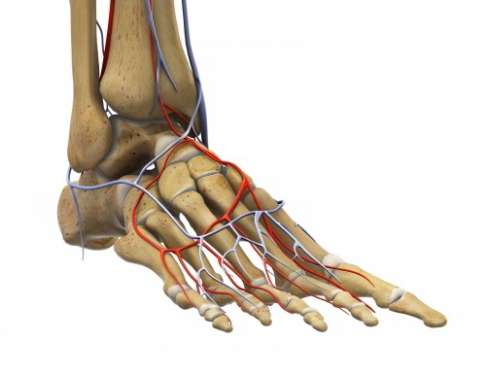 Durchblutungsstörungen sind häufig ursächlich für Fußschmerzen