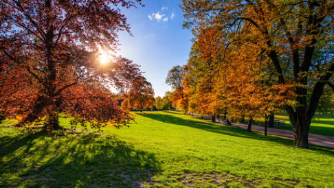 Sonnenlicht und Bewegung an der frischen Luft können einer Osteoporose vorbeugen. © daliu, Fotolia Sonnenlicht und Bewegung beugen einer Osteoporose vor.